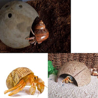 SINKOO 16PCS Hermit Crab Shells Growth, Hermit Crab Coconut Hut – Essentials for Reptiles And Amphibians - image 4