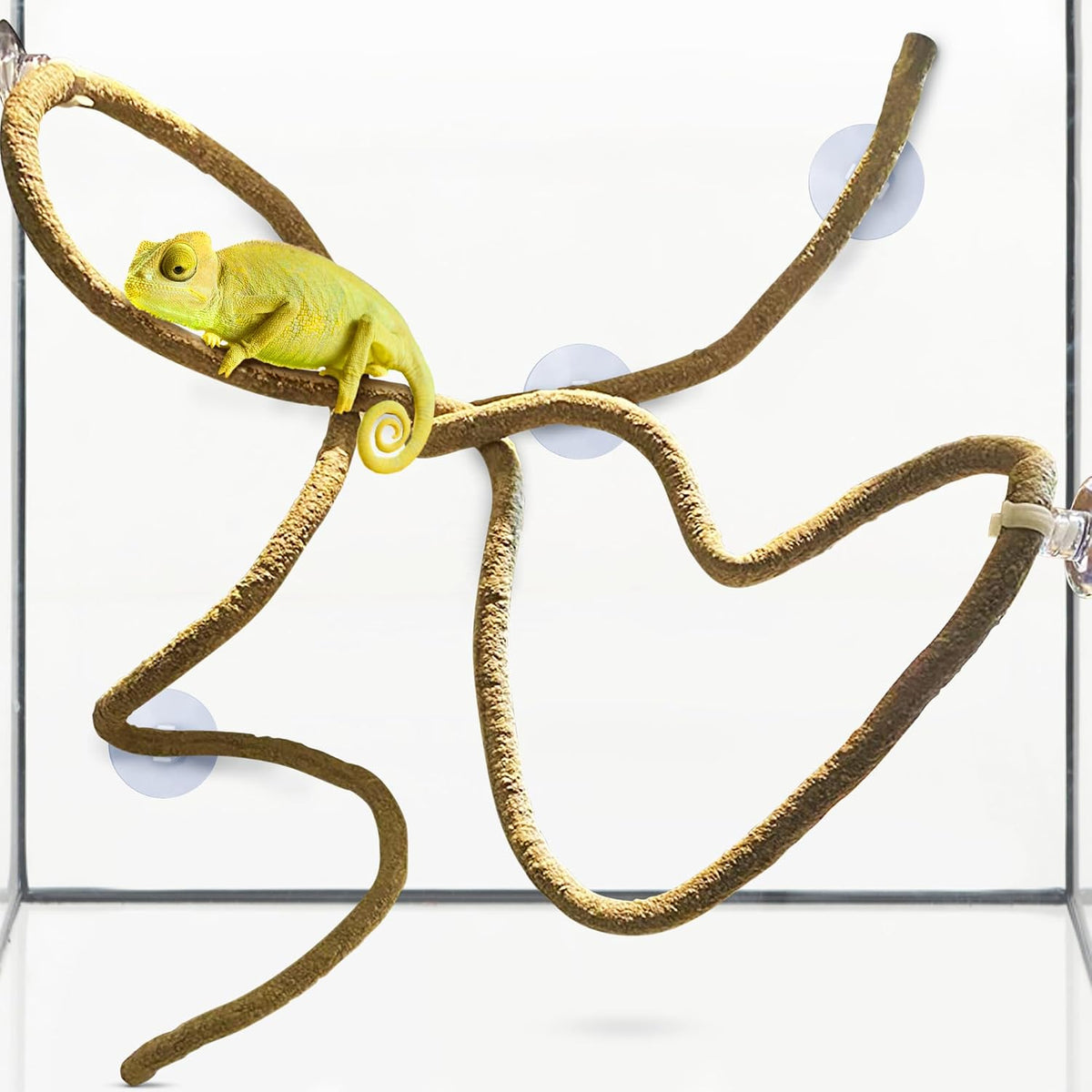SunGrow 6 ft Reptile Vine for Terrarium - image 3