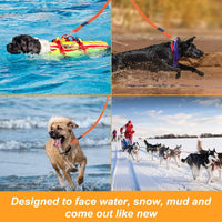 Vivifying Waterproof Long Dog Leash - 32ft / Orange - image 4