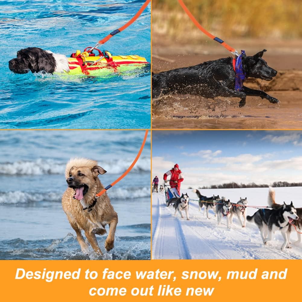 Vivifying Waterproof Long Dog Leash - 32ft / Orange - image 4