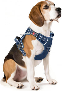 Timos Dog Harness, No Pull Large Sized with 3 Buckles - Medium / Lock Royal Blue