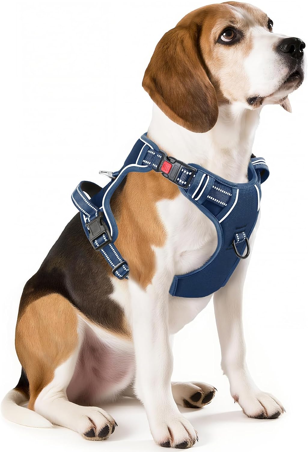 Timos Dog Harness, No Pull Large Sized with 3 Buckles - Medium / Lock Royal Blue