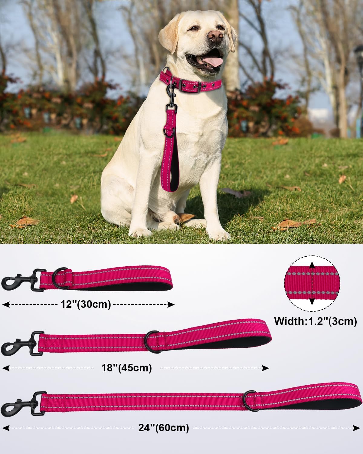 Joytale Short Dog Leash for Close Control & Training, 18" - 2 ft / Hotpink - image 2