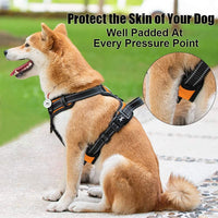 PoyPet No Pull Dog Harness Medium - S / Orange - image 3