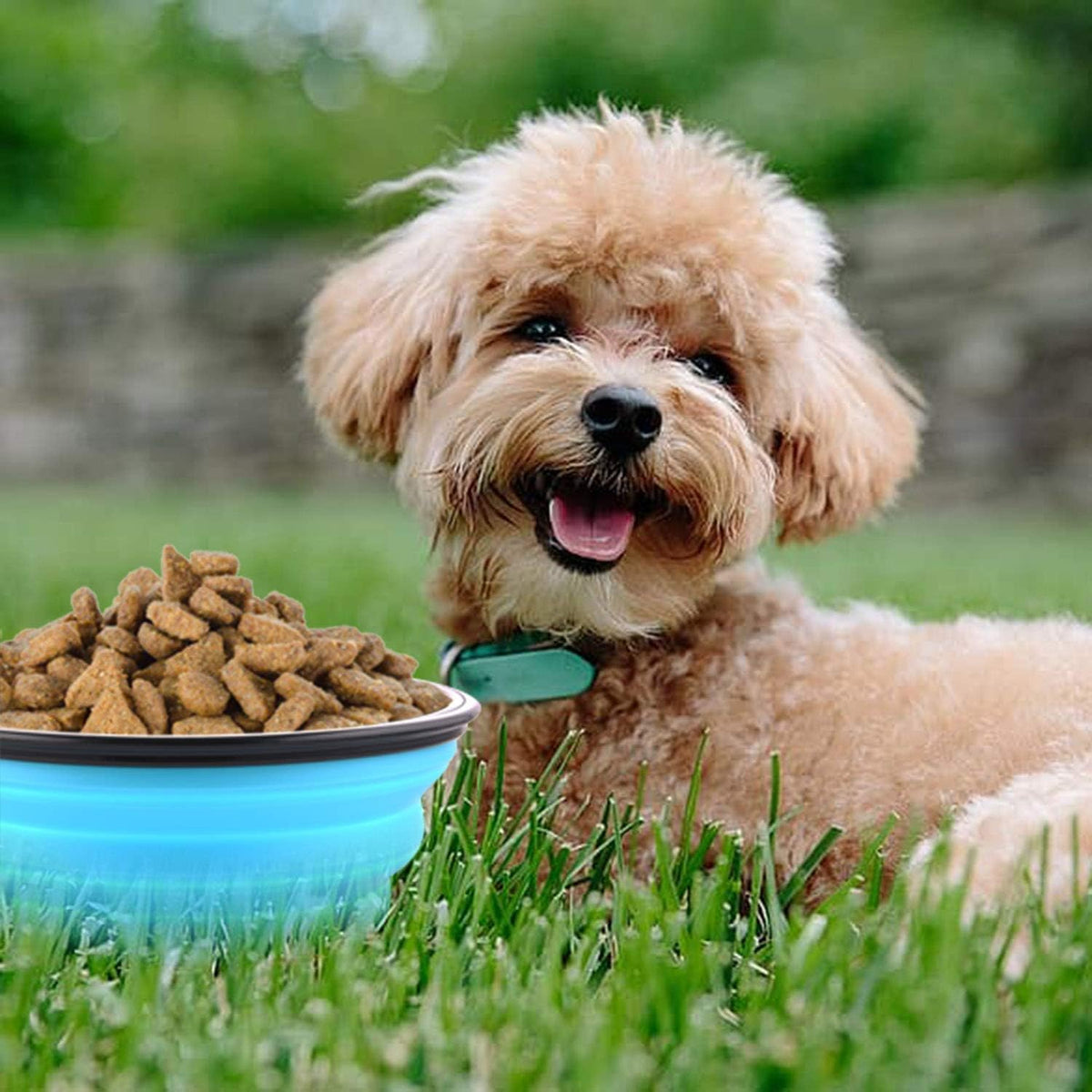Large Collapsible Dog Bowls, Hiking, Walking - image 3