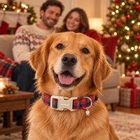 Medium Dog Collars for Male Dogs - Classic Christmas Plaid / L - image 2