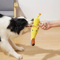 Dog Toy, Large Dog Squeaky Toys - Lion - image 4