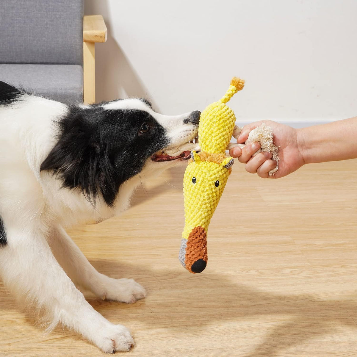 Dog Toy, Large Dog Squeaky Toys - Lion - image 4