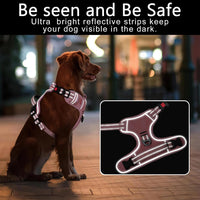 Timos Dog Harness, No Pull Large Sized with 3 Buckles - Large / Lock Pink - image 2