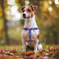 PUPTECK No Pull Dog Harness Soft Adjustable Basic Nylon Step in Puppy Vest Outdoor Walking with ID Tag, American Flag, M