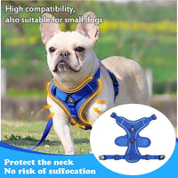 XL Cat Harness Escape Proof for Heavy Cats Adjustable for Extra Large - M / Turquoise - image 4