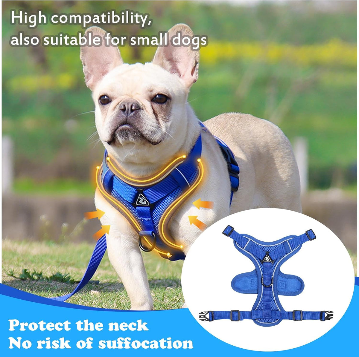 XL Cat Harness Escape Proof for Heavy Cats Adjustable for Extra Large - M / Turquoise - image 4