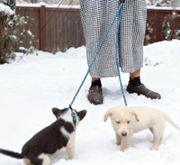 Double Dog Leash Coupler Heavy Duty Extension Rope for Two Large Dog – Essentials for Dogs - Small (1/3"D x 33"L) / Blue - image 4
