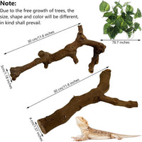 VCEPJH Snake Climbing Branch - Grape Wood (S:11.8"-2pcs) / 2 - image 2