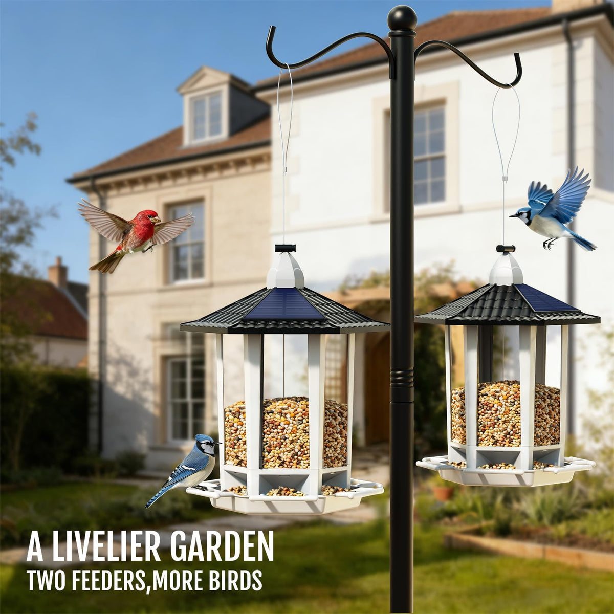 Birdream 2 Pack Solar Bird Feeders for Outdoors Hanging - Black&White / 1 Pack - image 4