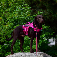 Dog Harness for Large Dogs - Pink / XL(Neck:21-32",Chest:26-39"),75-135 lbs - image 2