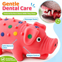 3 PCS Squeaky Latex Grunting Pig Dog Toys - image 4