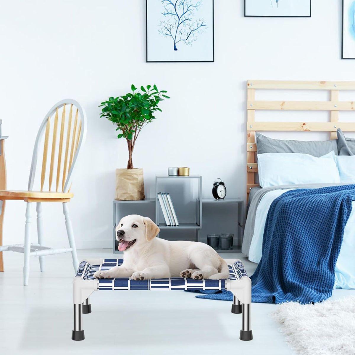Elevated Dog Bed with Cotton Fabric, Stainless Steel Frame - S - image 4
