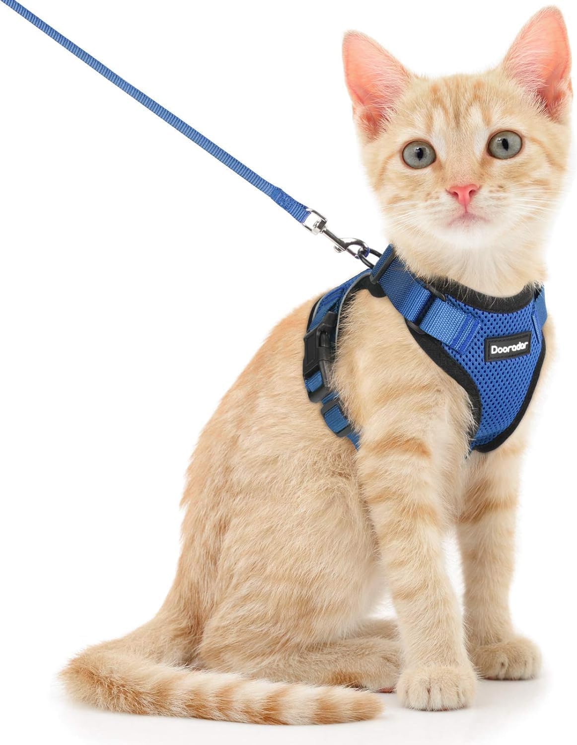 Cat Harness and Leash Set, Adjustable and Escape Proof - Blue / S