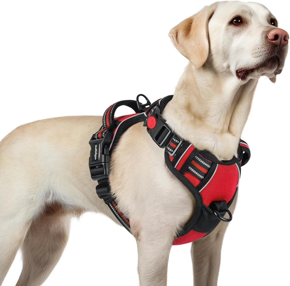 rabbitgoo Dog Harness for Large - Red / Large