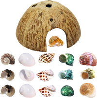 SINKOO 16PCS Hermit Crab Shells Growth, Hermit Crab Coconut Hut – Essentials for Reptiles And Amphibians