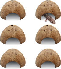 PINVNBY 2 PCS Natural Coconut Reptile Hideouts Lizard Coco Hut Hermit - Smooth Surface / 6 PCS