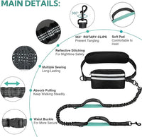 Hands Free Dog Leash with Pouch, Double Leash for Two Dogs, Retractable Bungee with Double Padded Handles, Waist Leash for Dog Walking, Running Leash for Dogs, Dog Walking Accessories