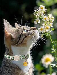 Halloween Cat Collar-2Pack Autumn Pumpkin Kitten Collars-Funny - GreenLeafFlower&PinkYe - image 4