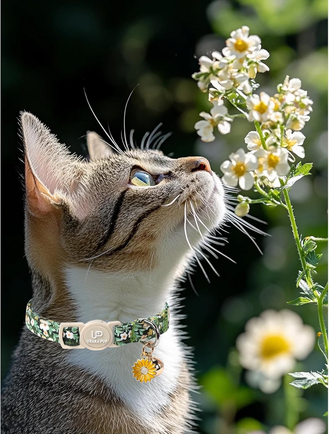Halloween Cat Collar-2Pack Autumn Pumpkin Kitten Collars-Funny - GreenLeafFlower&PinkYe - image 4