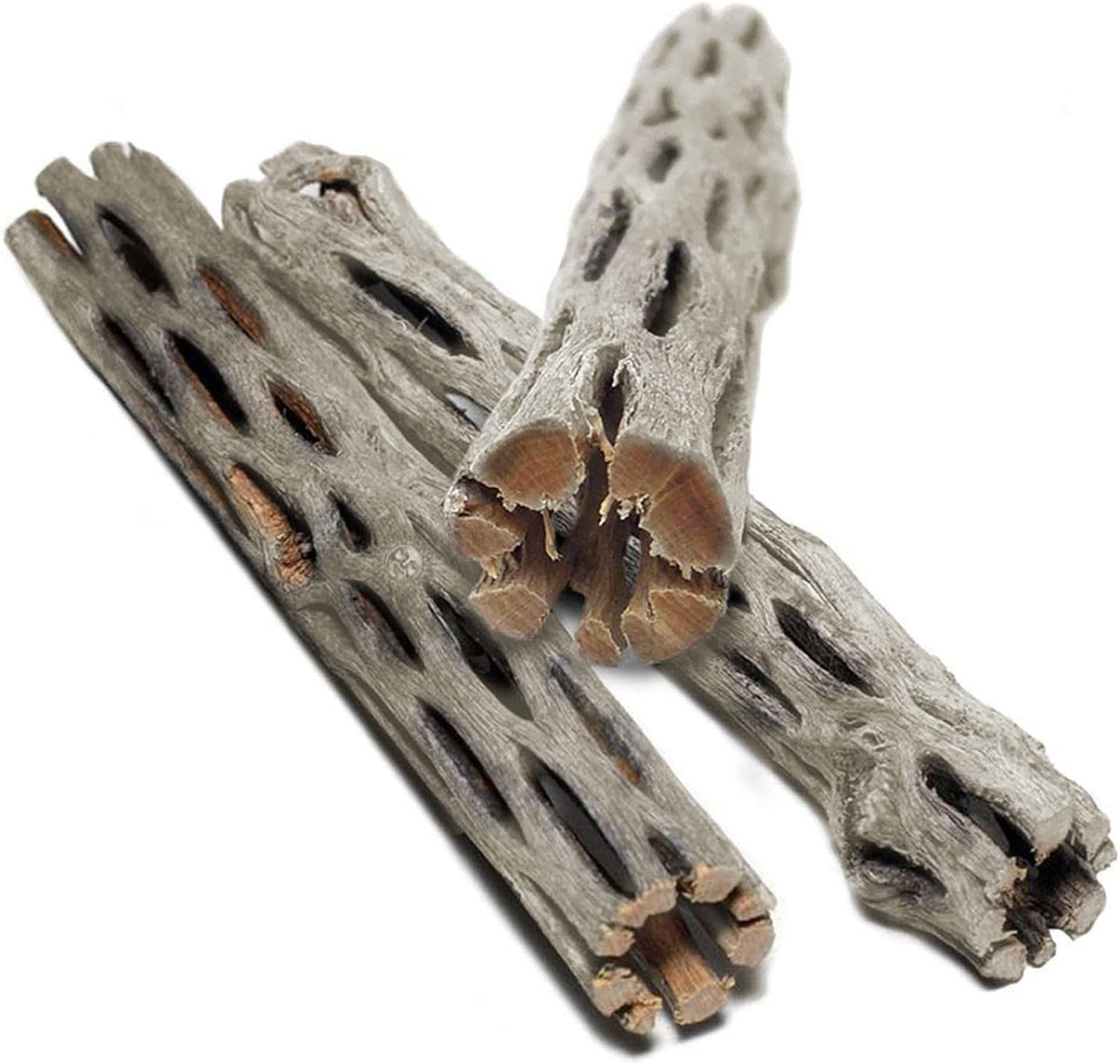 SunGrow 3 Pack Shrimp Cholla Wood - 3 Pieces - image 2