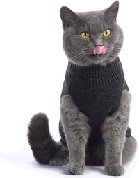 Cat Sweater Stretchy, 19 Colors, 6 Sizes - Dark Gray / Medium / Vest - image 2