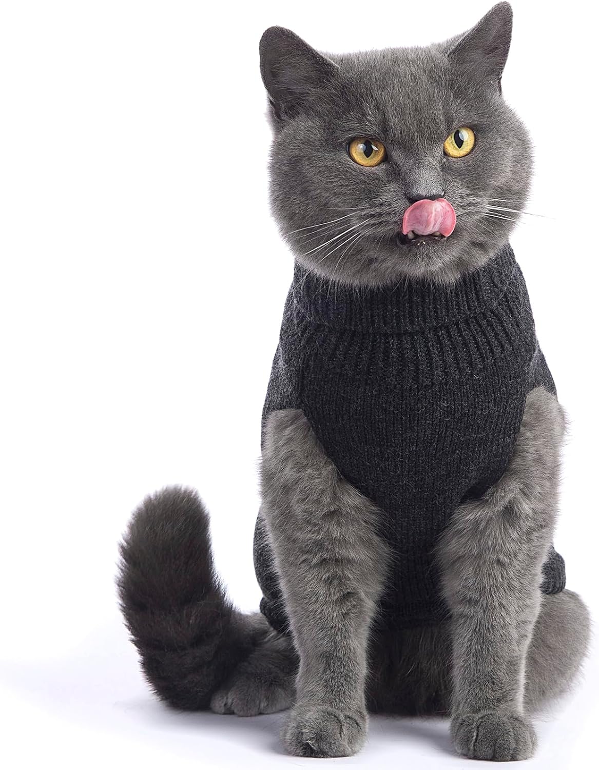 Cat Sweater Stretchy, 19 Colors, 6 Sizes - Dark Gray / Medium / Vest - image 2