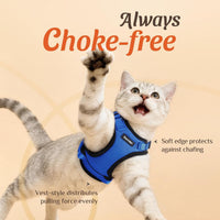 Cat Harness and Leash Set, Adjustable and Escape Proof - Blue / S - image 2