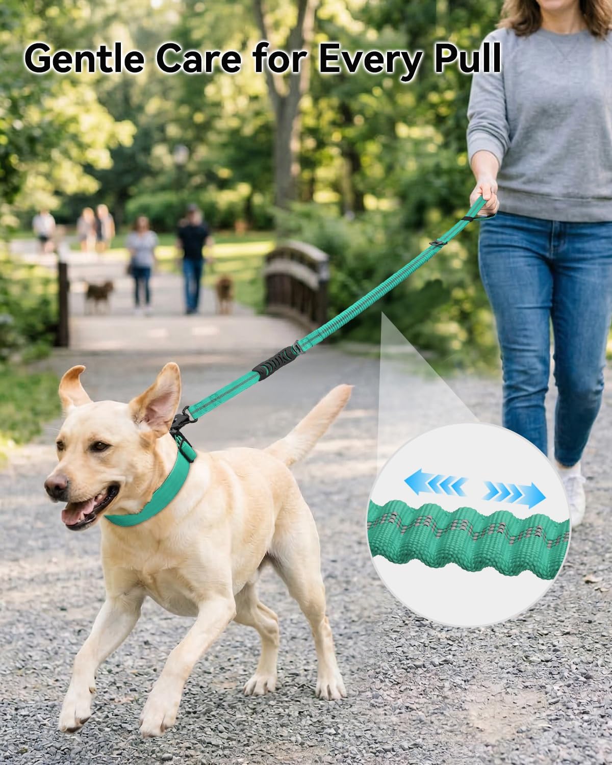 Joytale Tactical Bungee Dog Leash, Shock Absorbing No Pull - Teal - image 2