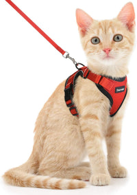 Cat Harness and Leash Set, Adjustable and Escape Proof - Reddish Orange / S