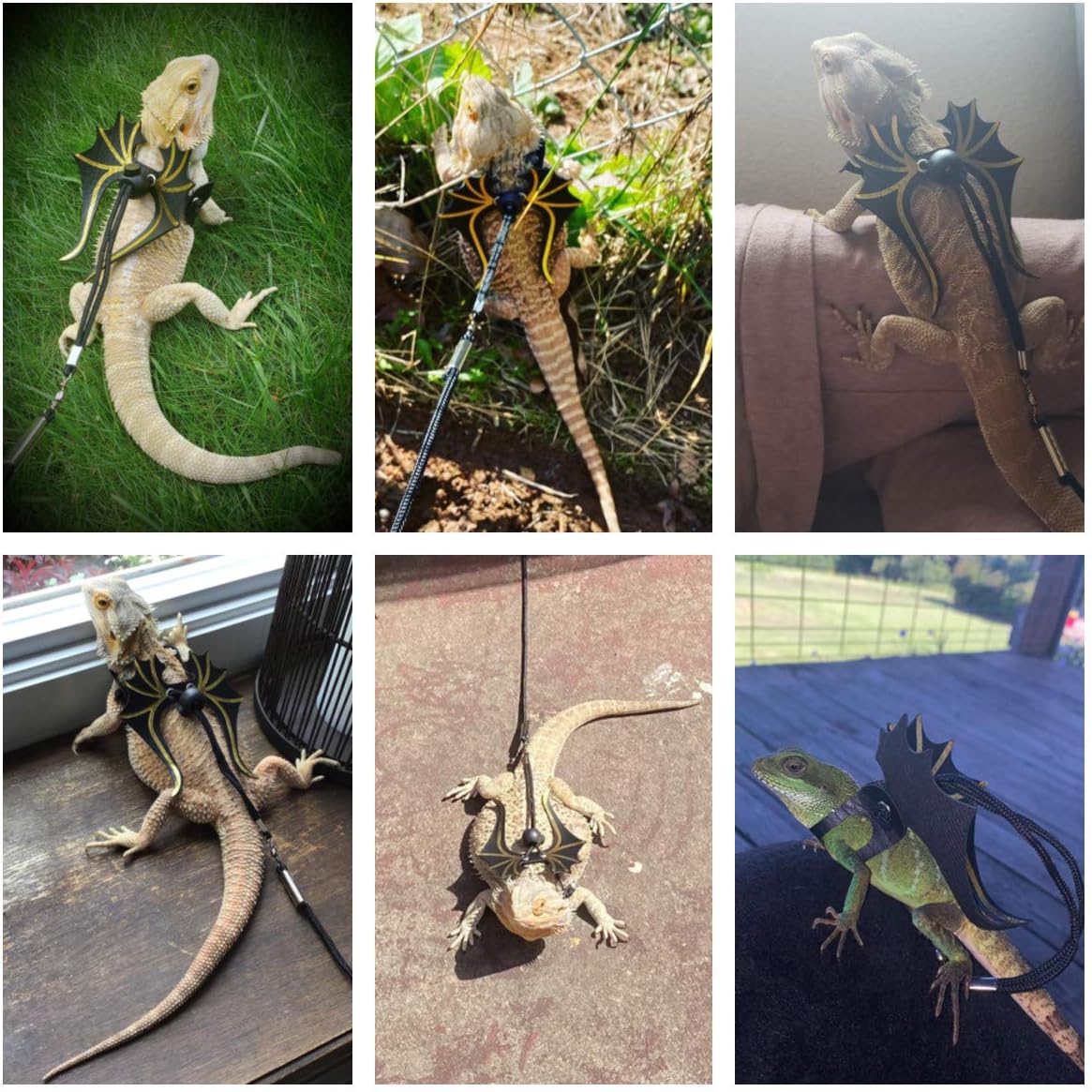Bearded Dragon Leash Harness Set, 3 Size Harness, Dinosaur Wing – Essentials for Reptiles And Amphibians - image 2