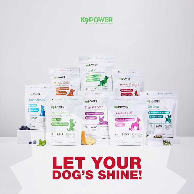 K9 Power Young at Heart Senior Dog Multivitamin 1 lb – Supplement for Brain Heart, Vision & Mobility Support in Senior Dogs - Pack of 2