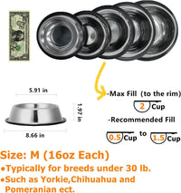 2 Pack Stainless Steel Dog Bowls with Rubber Bottom - 2 Cup / 16 oz - image 3