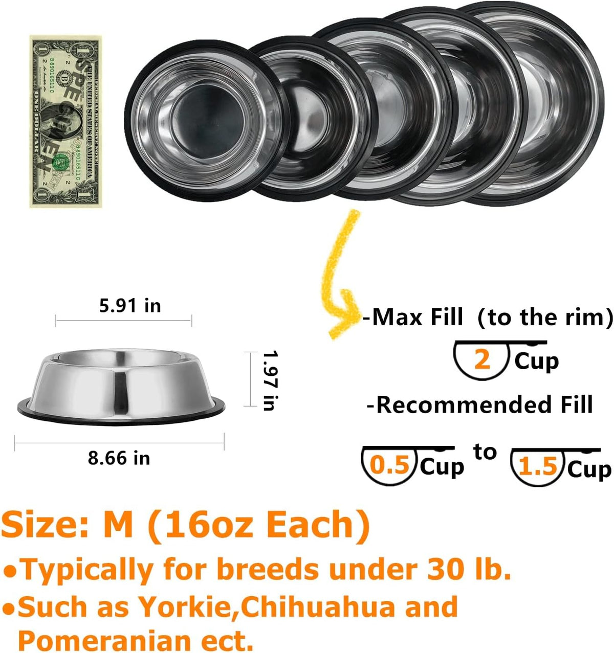 2 Pack Stainless Steel Dog Bowls with Rubber Bottom - 2 Cup / 16 oz - image 3