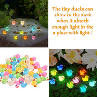 Cidinge 60 Pcs Mini Resin Ducks Luminous Tiny Ducks Miniature Duck - Luminous Ducks - image 3