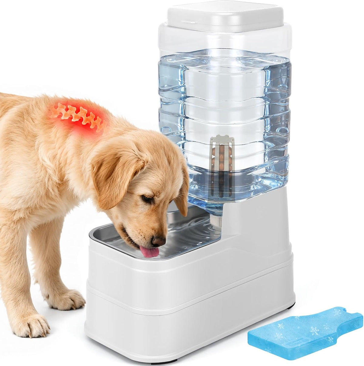 1.1 Gallon Pet Automatic Dog Water Dispenser Cat Gravity Waterer - White / 8L(2.2 Gallon)
