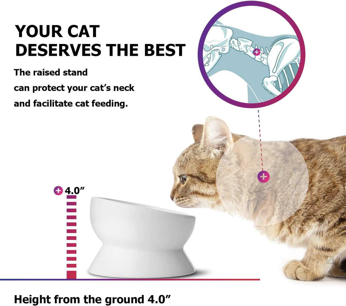 Y YHY Cat Bowl Anti Vomiting, Raised Food Bowls - 15oz / White - image 4