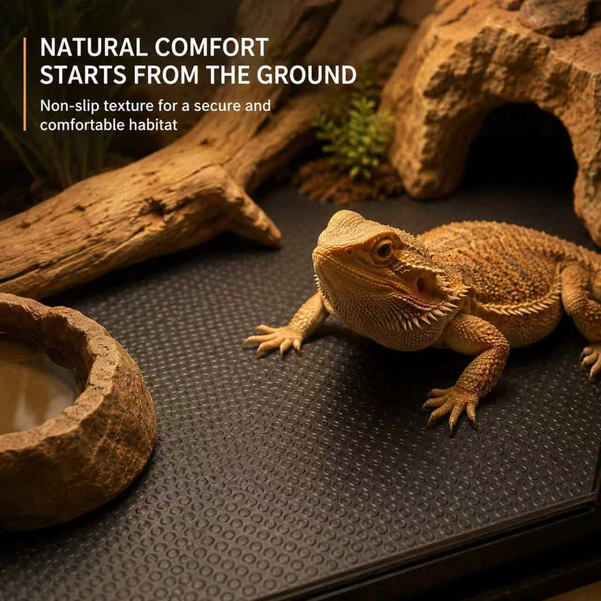 RUNANIA Bearded Dragon Tank Accessories - Large - image 4