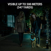 2-Pack LED Dog Collar, Light Up Dog Collars - Green&Blue - image 3