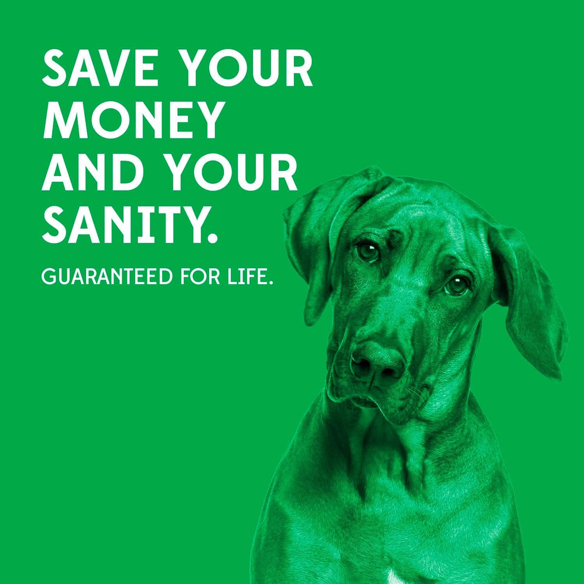 Goughnuts, Dog Toys for Aggressive Chewers - Medium (30-70 lb) (Original Size) / Green - image 3