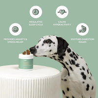 Reggie Anytime Calming Chews for Dogs | Natural Calming Dog Treats to Reduce Hyperactivity, Separation Anxiety, & Stress | Vet-Approved & Ideal for All Ages, Breeds, and Sizes (120 Count)