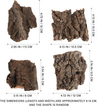 IMIKEYA 4Pcs Reptile Tree Bark Reptile Hides: Natural Wood Cork Bark - image 3