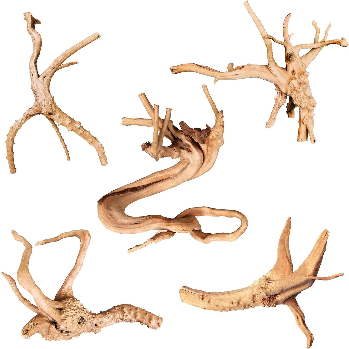 majoywoo Natural Driftwood for Aquarium Decor Fish Tank Decor Reptile - Spiderwood 4 to 8 Inch(Pack of 5)