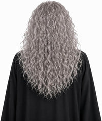 Grey Wizard Wig and Beard - image 2