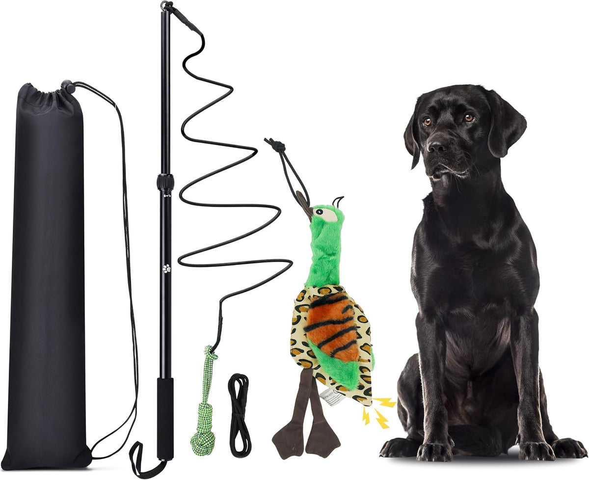 Flirt Pole Dogs, Dog Chase Toy with Squeakers Inside - Ball+Duck